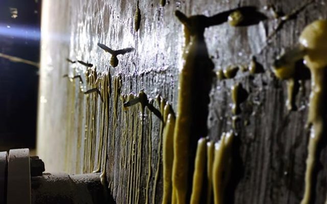 IMG-20250627-WA0016